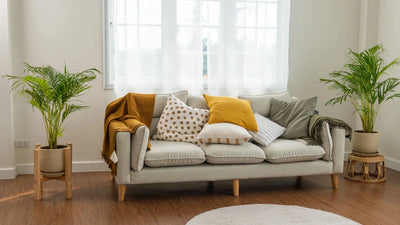 Are Boucle Sofas Comfortable?