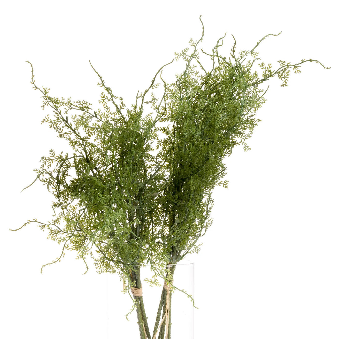 Hill-Interiors-Asparagus-Fern-Bunch_6