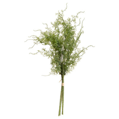 Hill-Interiors-Asparagus-Fern-Bunch_7