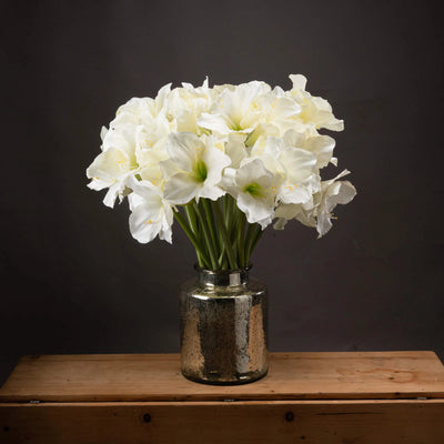 Hill-Interiors-Classic-White-Amaryllis-Flower_1