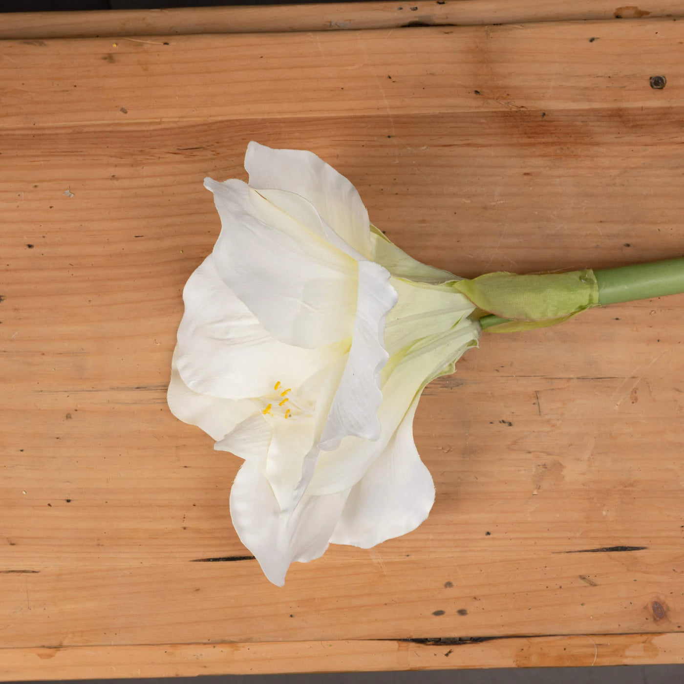 Hill-Interiors-Classic-White-Amaryllis-Flower_2