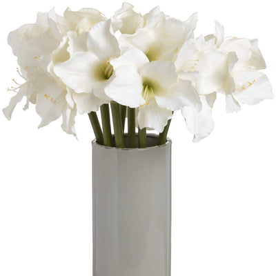 Hill-Interiors-Classic-White-Amaryllis-Flower_3