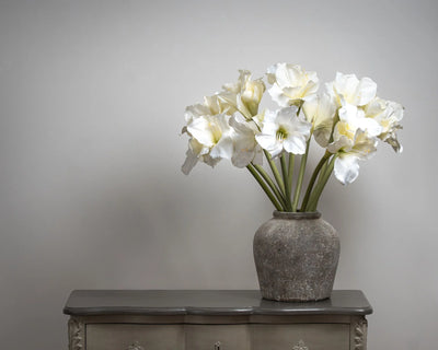 Hill-Interiors-Classic-White-Amaryllis-Flower_6