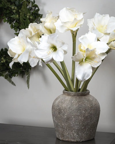 Hill-Interiors-Classic-White-Amaryllis-Flower_7