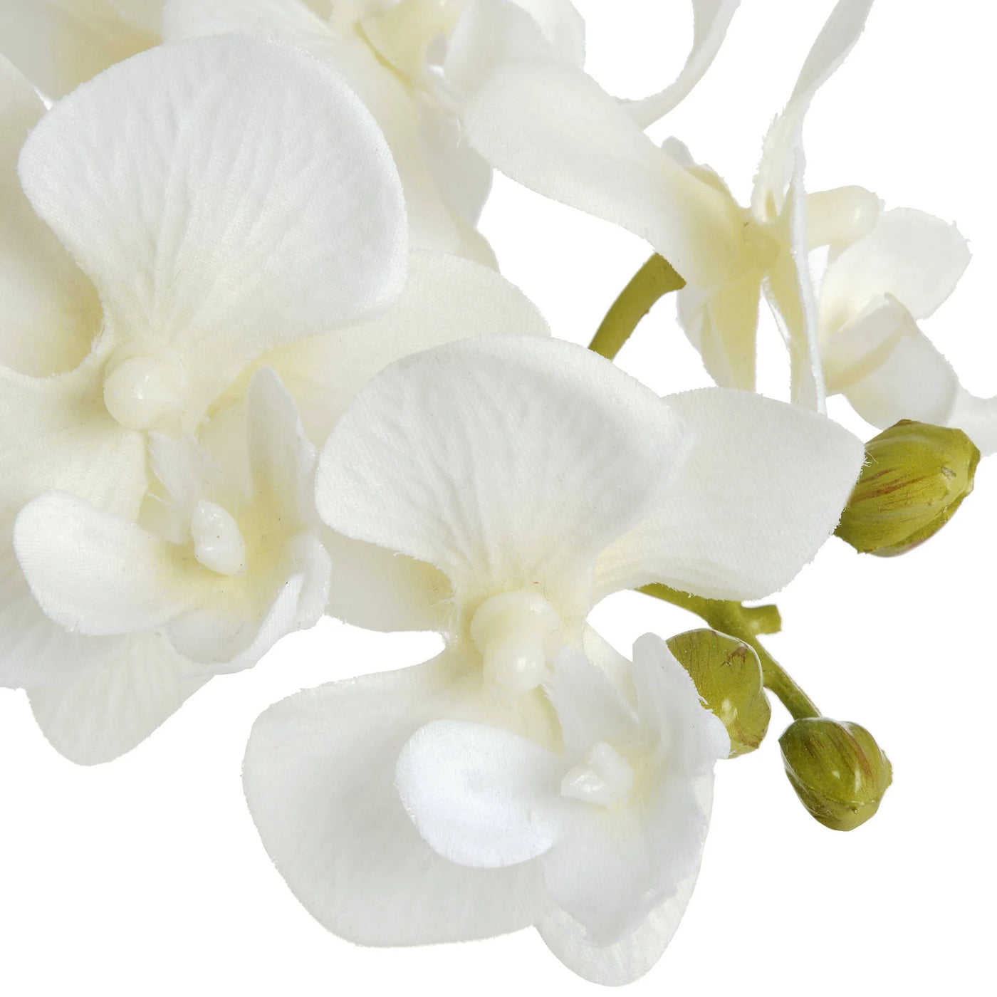 Hill-Interiors-Harmony-White-Potted-Orchid_5