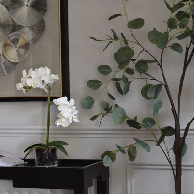 Hill-Interiors-Harmony-White-Potted-Orchid_8