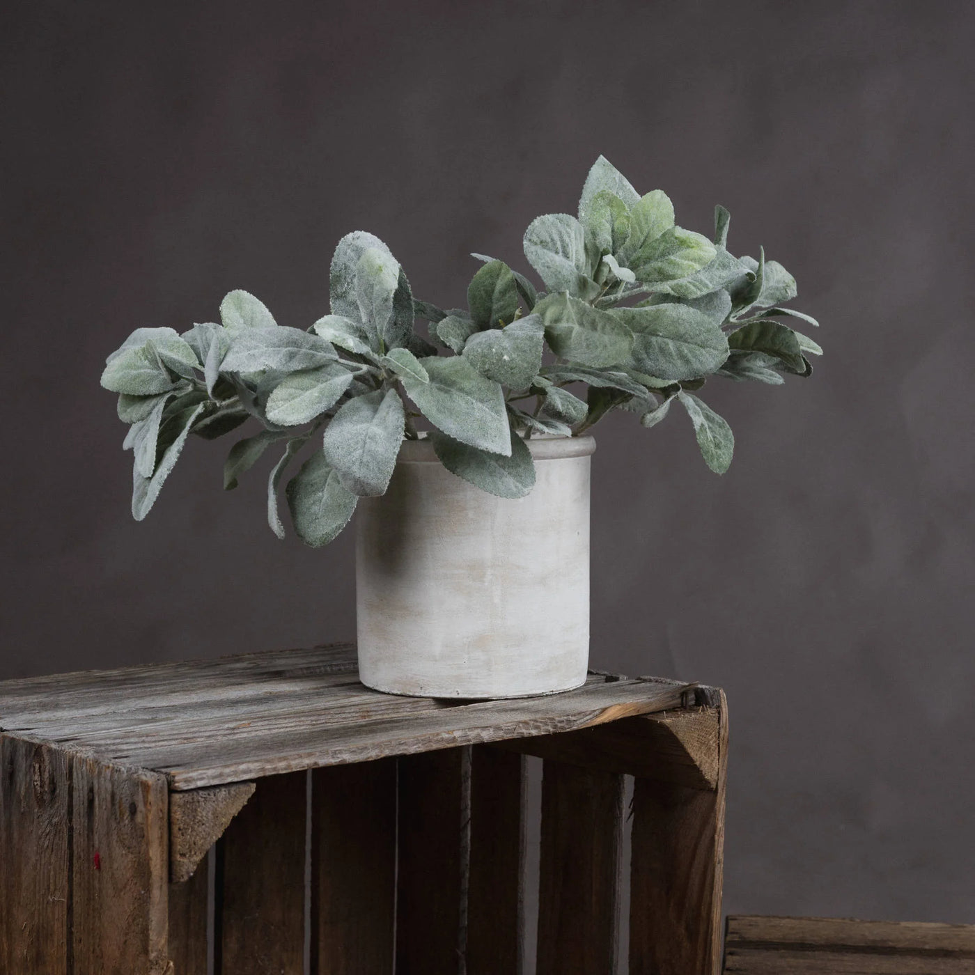 Hill-Interiors-Lambs-Ear-Spray_1