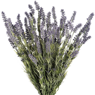 Hill-Interiors-Large-Lavender-Bush_4