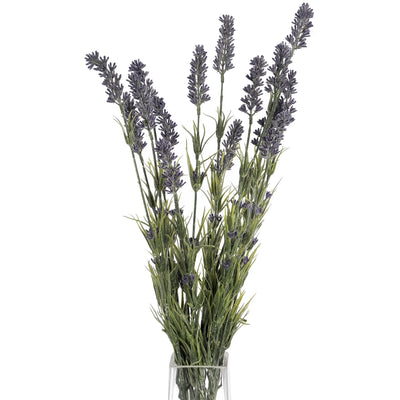 Hill-Interiors-Large-Lavender-Bush_5