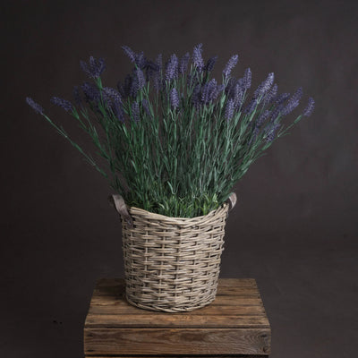 Hill-Interiors-Large-Lavender-Spray_2