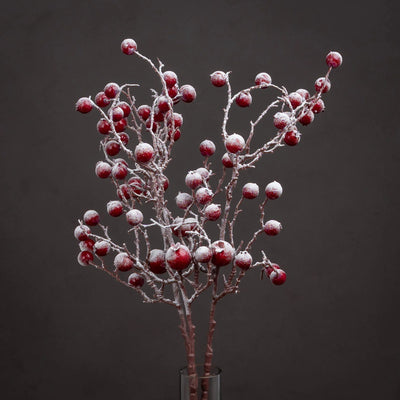 Hill-Interiors-Large-Red-Festive-Berry_3