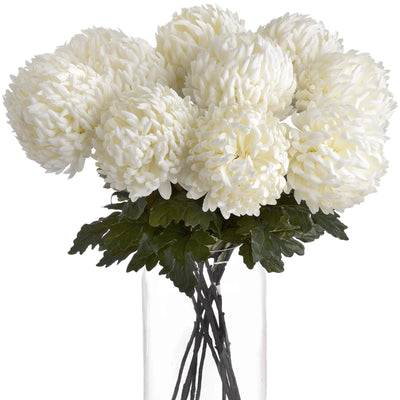 Hill-Interiors-Large-White-Chrysanthemum_3