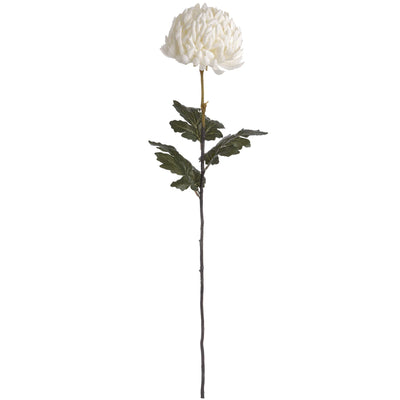 Hill-Interiors-Large-White-Chrysanthemum_4