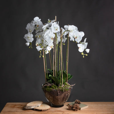 Hill-Interiors-Large-White-Orchid-In-Glass-Pot_1