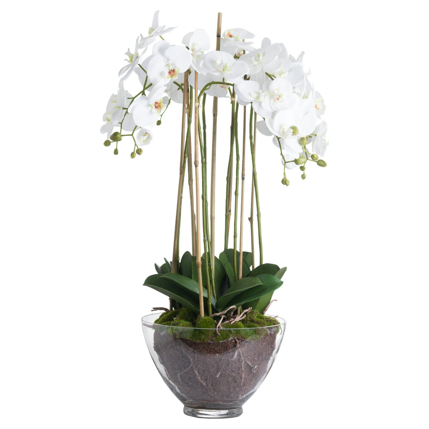 Hill-Interiors-Large-White-Orchid-In-Glass-Pot_2