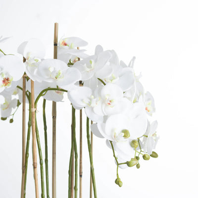 Hill-Interiors-Large-White-Orchid-In-Glass-Pot_3