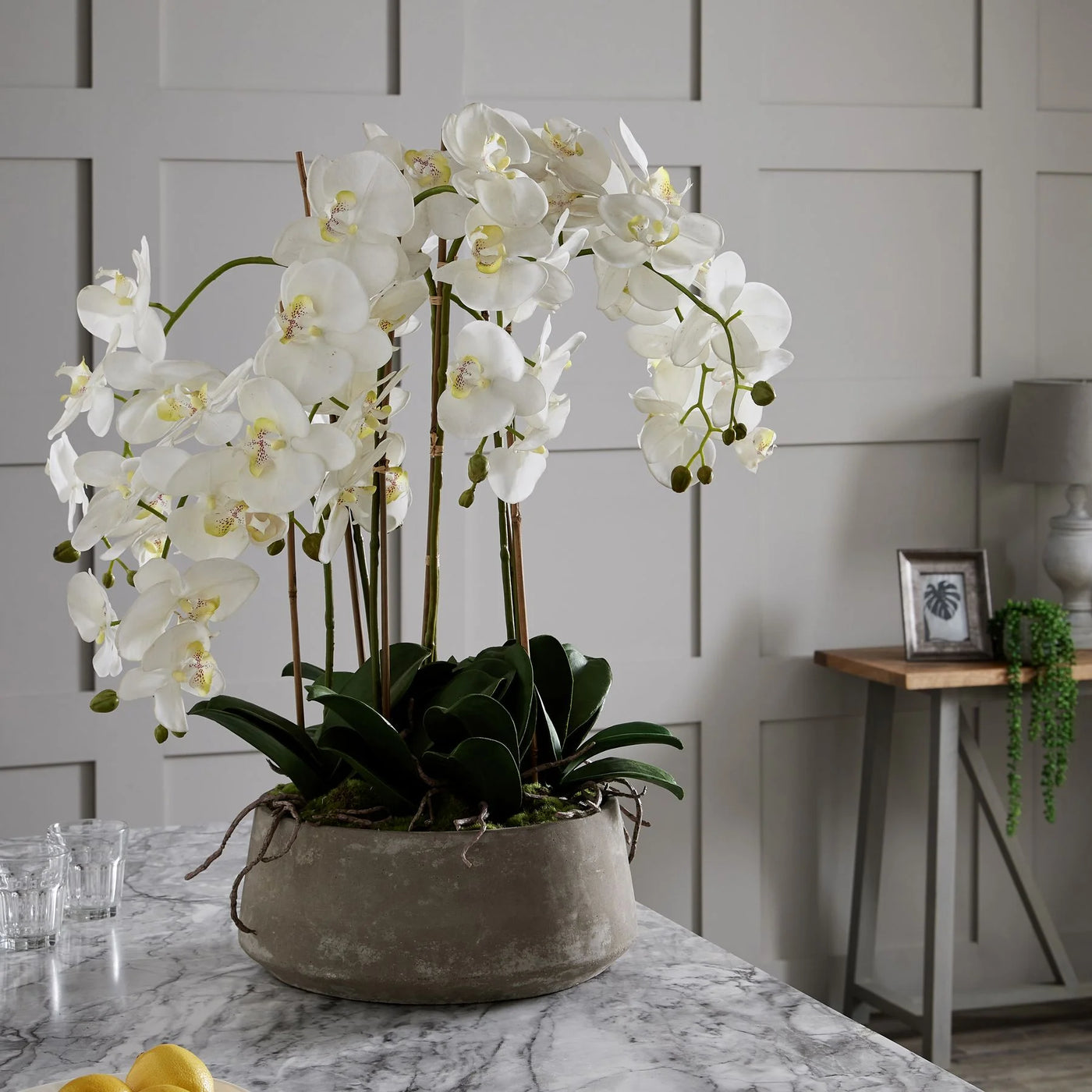 Hill-Interiors-Large-White-Orchid-In-Stone-Pot_4