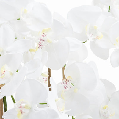 Hill-Interiors-Large-White-Tall-Orchid-In-Glass-Pot_2