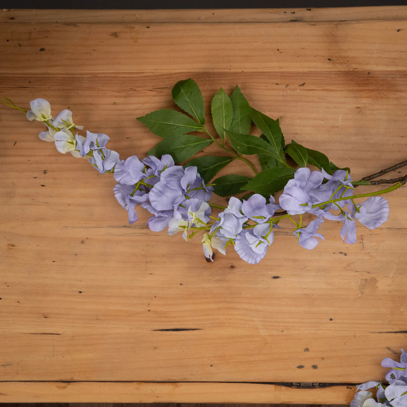 Hill-Interiors-Lilac-Wisteria_2