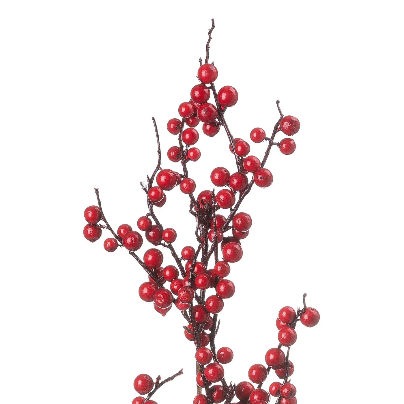 Hill-Interiors-Medium-Festive-Berry-Pick_2