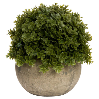 Hill-Interiors-Miniature-Hebe-Veronica-In-Pot_3