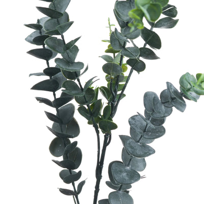 Hill-Interiors-Silver-Dollar-Eucalyptus_1