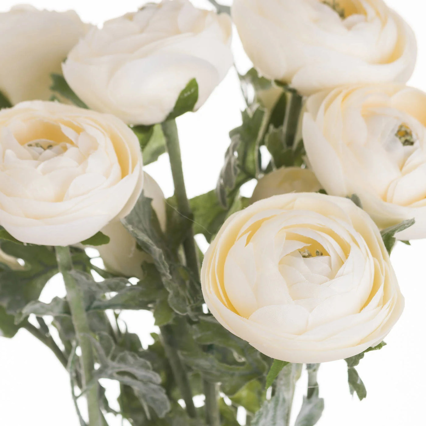 Hill-Interiors-Soft-Cream-Ranunculus_2