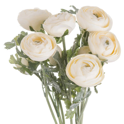 Hill-Interiors-Soft-Cream-Ranunculus_3