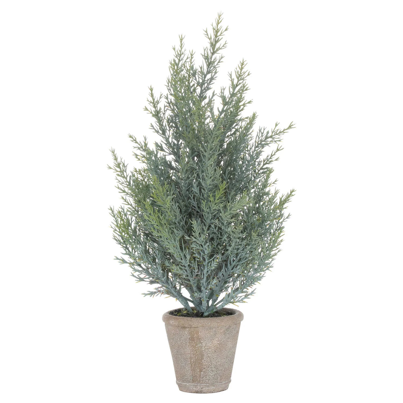 Hill-Interiors-Squat-Fir-Tree-In-Stone-Pot_1