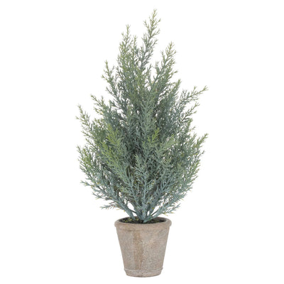 Hill-Interiors-Squat-Fir-Tree-In-Stone-Pot_1