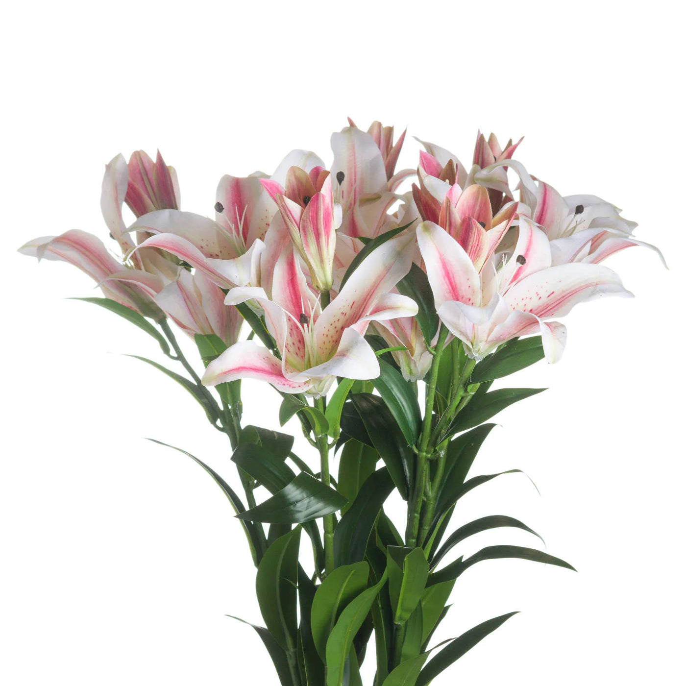 Hill-Interiors-Stargazer-Lily_3