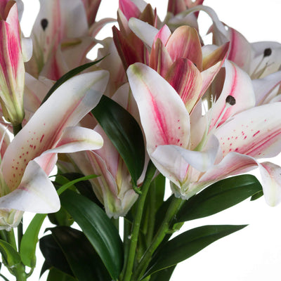 Hill-Interiors-Stargazer-Lily_5