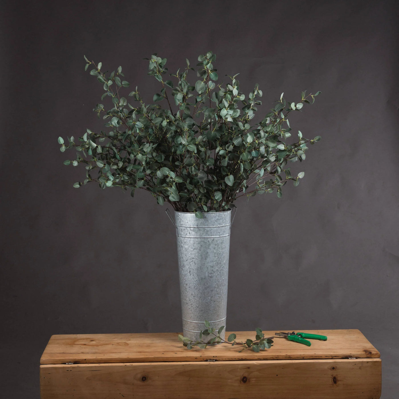 Hill-Interiors-Tall-Eucalyptus-Stem_1