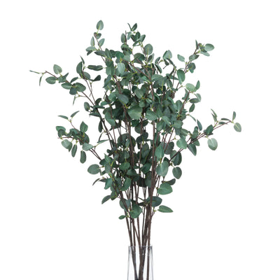 Hill-Interiors-Tall-Eucalyptus-Stem_4