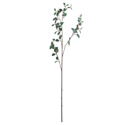 Hill-Interiors-Tall-Eucalyptus-Stem_5