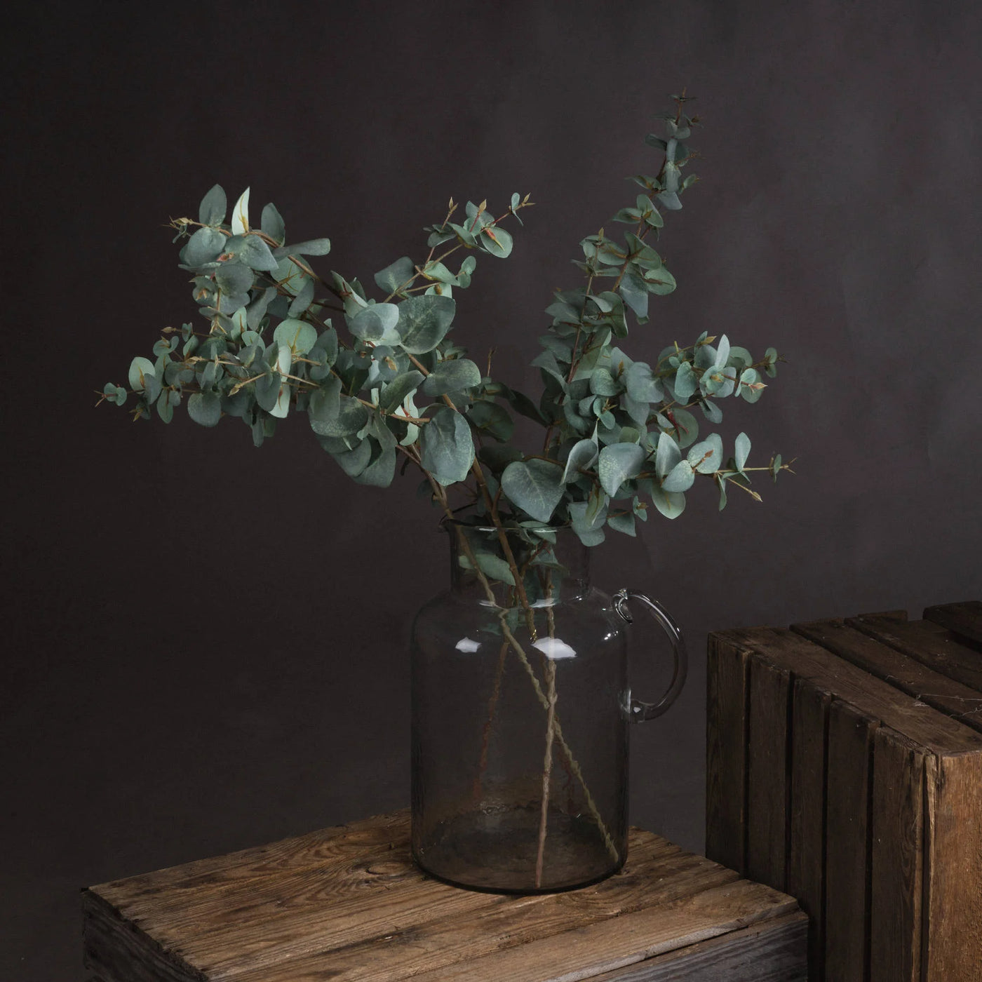 Hill-Interiors-Variegated-Eucalyptus_1