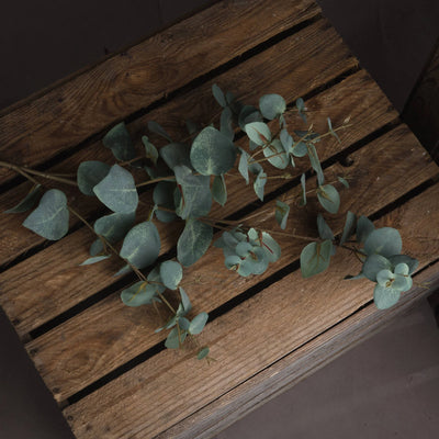 Hill-Interiors-Variegated-Eucalyptus_2