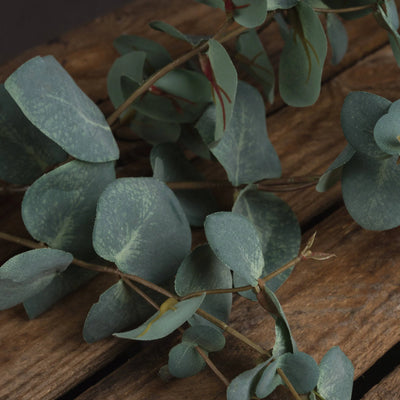 Hill-Interiors-Variegated-Eucalyptus_3