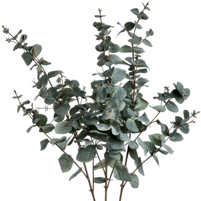 Hill-Interiors-Variegated-Eucalyptus_4