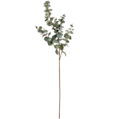 Hill-Interiors-Variegated-Eucalyptus_6