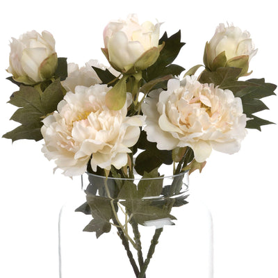 Hill-Interiors-White-Fashion-Peony_4