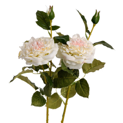 Hill-Interiors-White-Garden-Rose-Spray_4