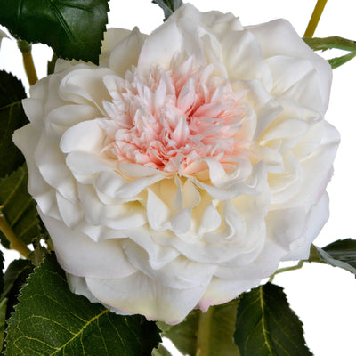 Hill-Interiors-White-Garden-Rose-Spray_5