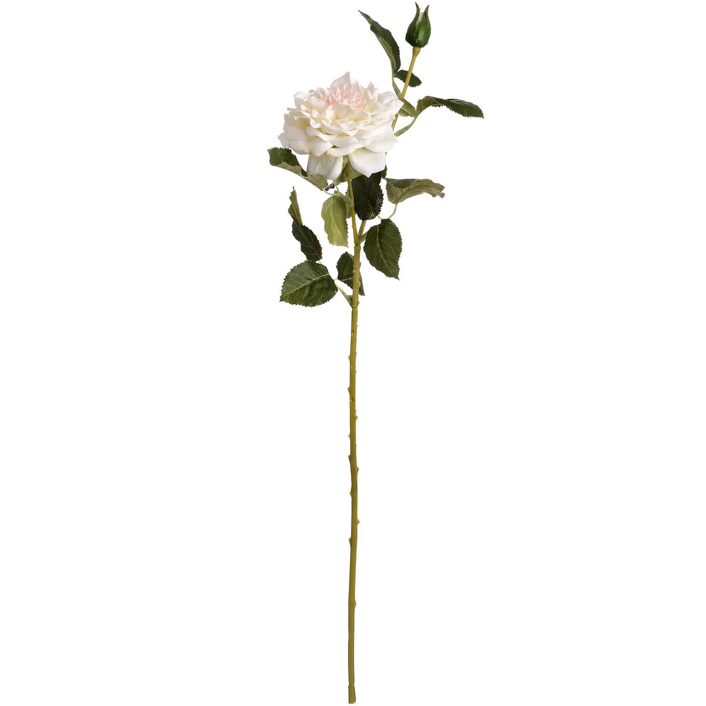 Hill-Interiors-White-Garden-Rose-Spray_6