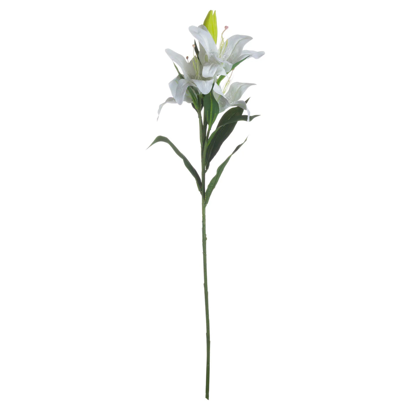 Hill-Interiors-White-Lily_4