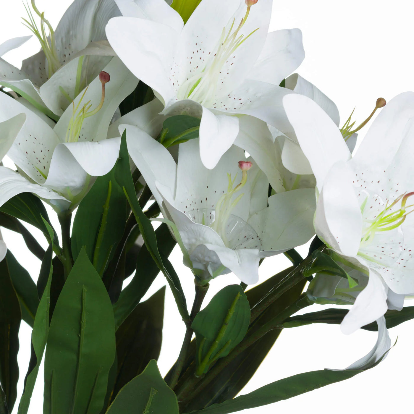 Hill-Interiors-White-Lily_5