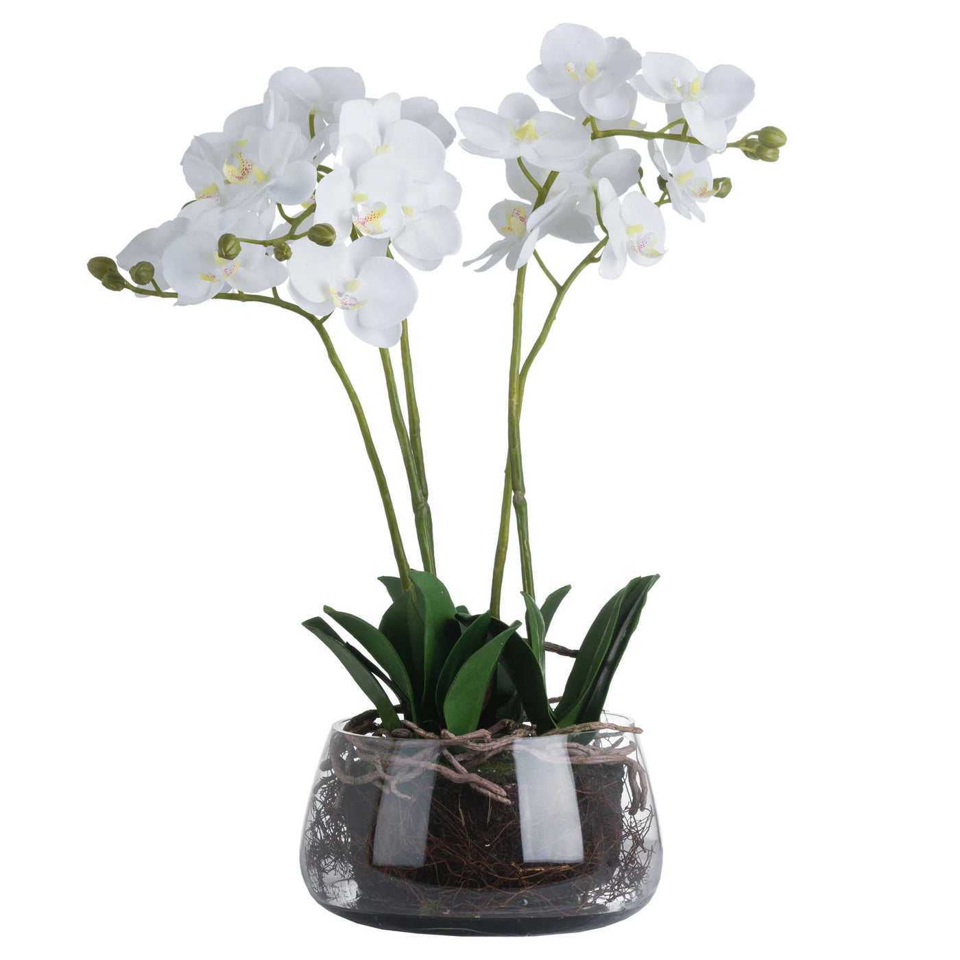 Hill-Interiors-White-Orchid-In-Glass-Pot_2