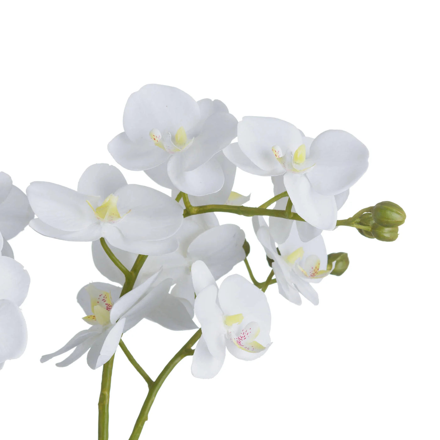 Hill-Interiors-White-Orchid-In-Glass-Pot_3