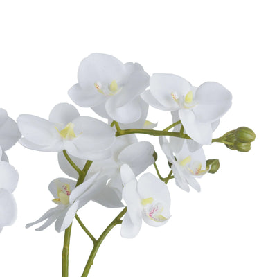 Hill-Interiors-White-Orchid-In-Glass-Pot_3