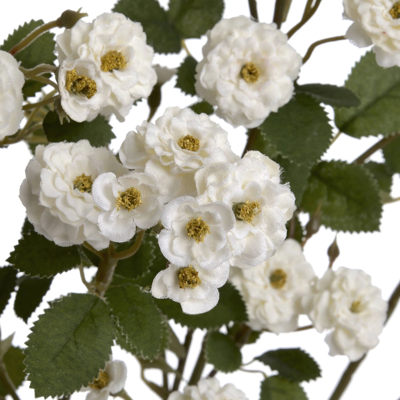 Hill-Interiors-White-Wild-Meadow-Rose_5